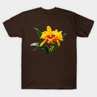 Orchids - Cattleya Orchid Orchidglade T-Shirt